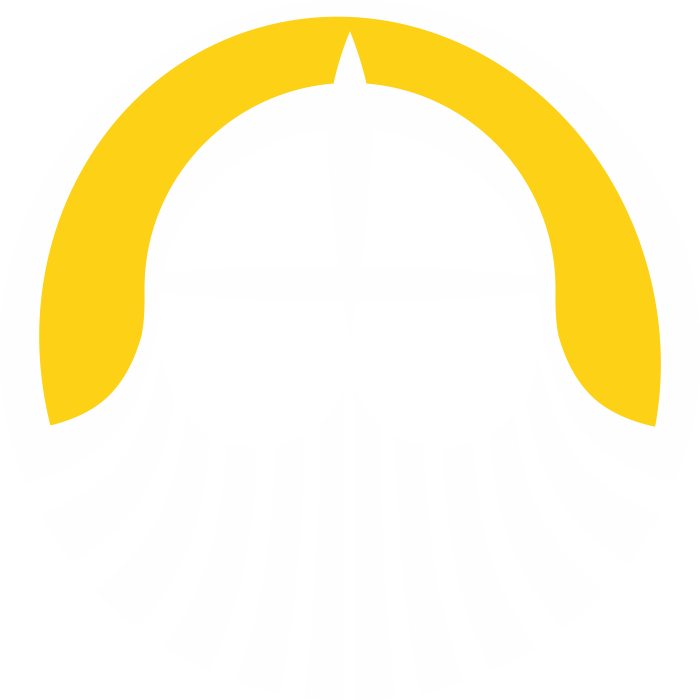 logo-vikingo
